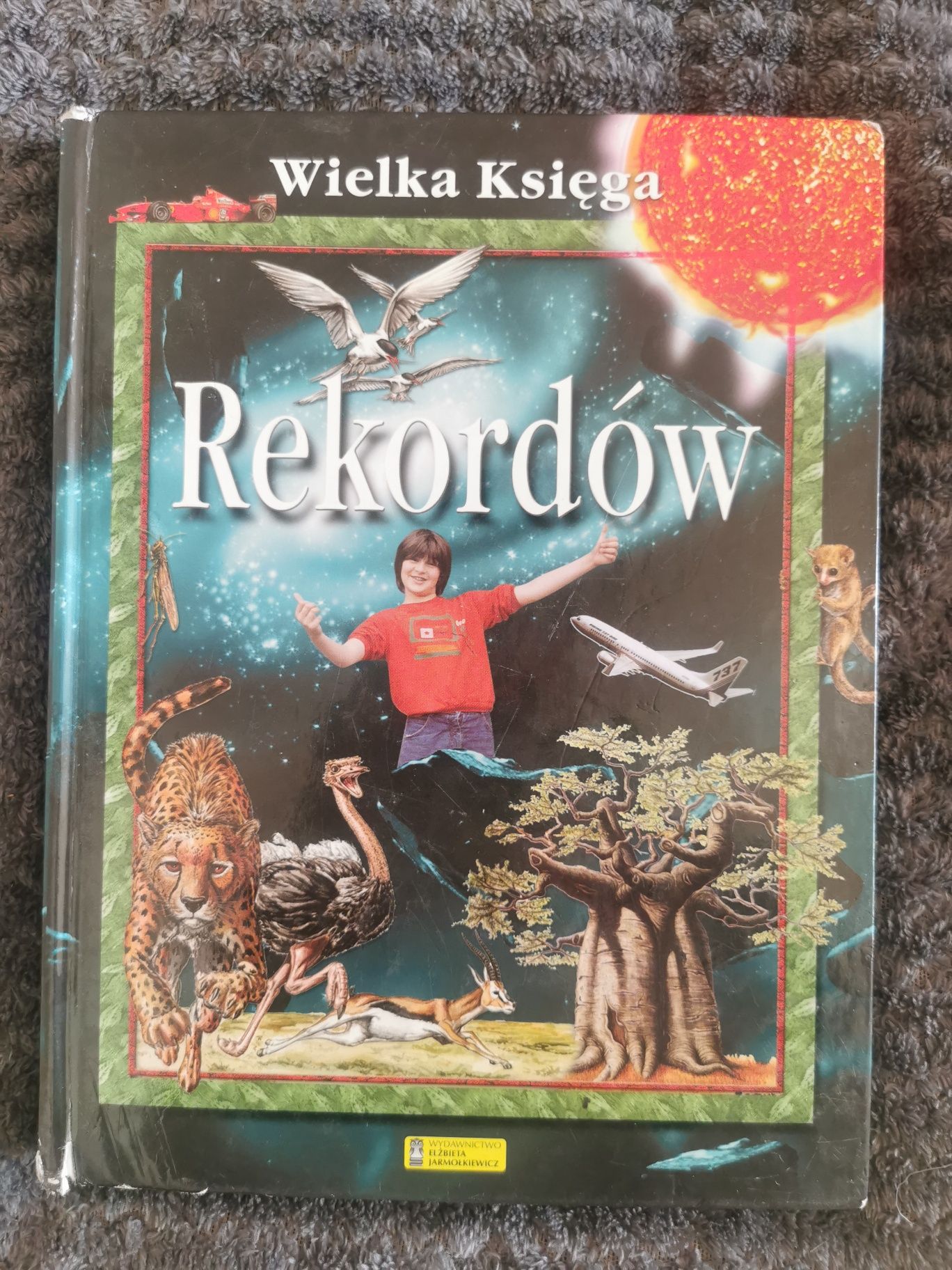 Wielka księga rekordów