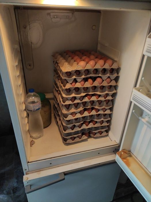 Яйце куряче,  домашнє, свіже.