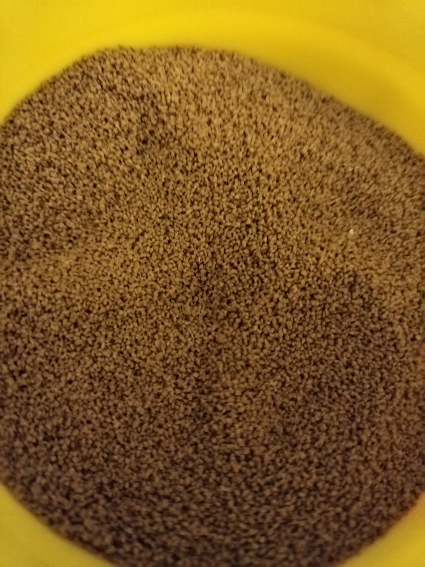 Pokarm, karma 100g dla ryb, narybku skalar gupik itd wysokobiałkowa