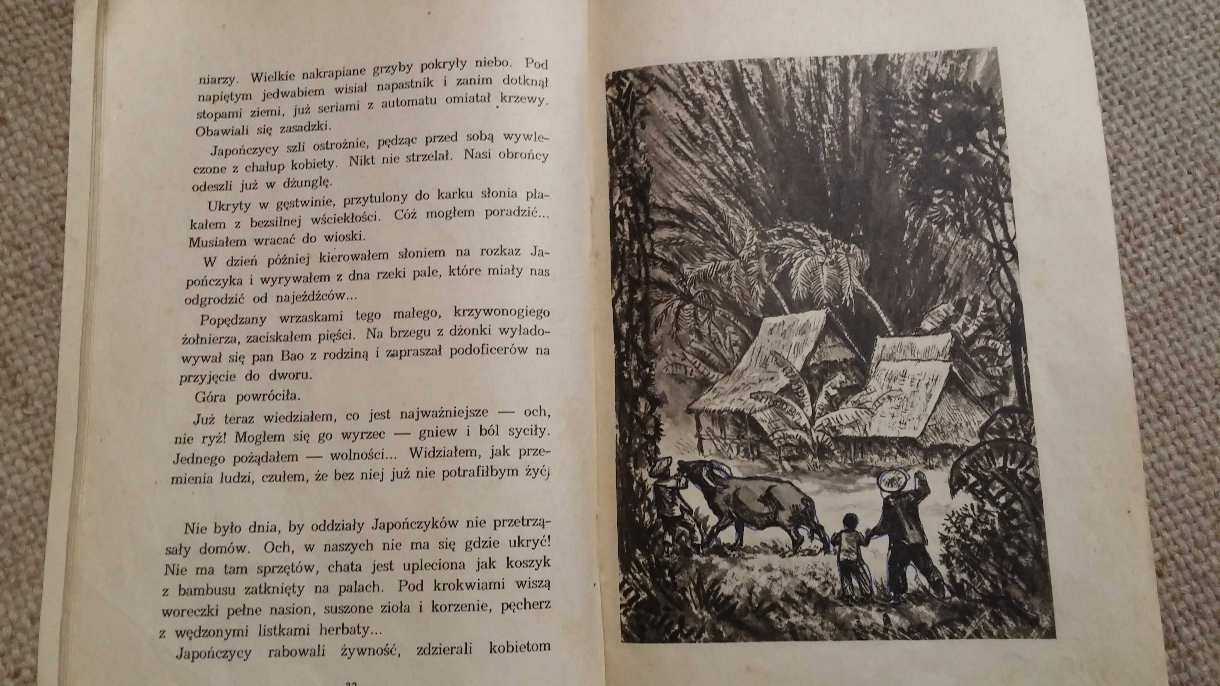 Mój przyjaciel Słoń Żukrowski Wojciech wyd 1960