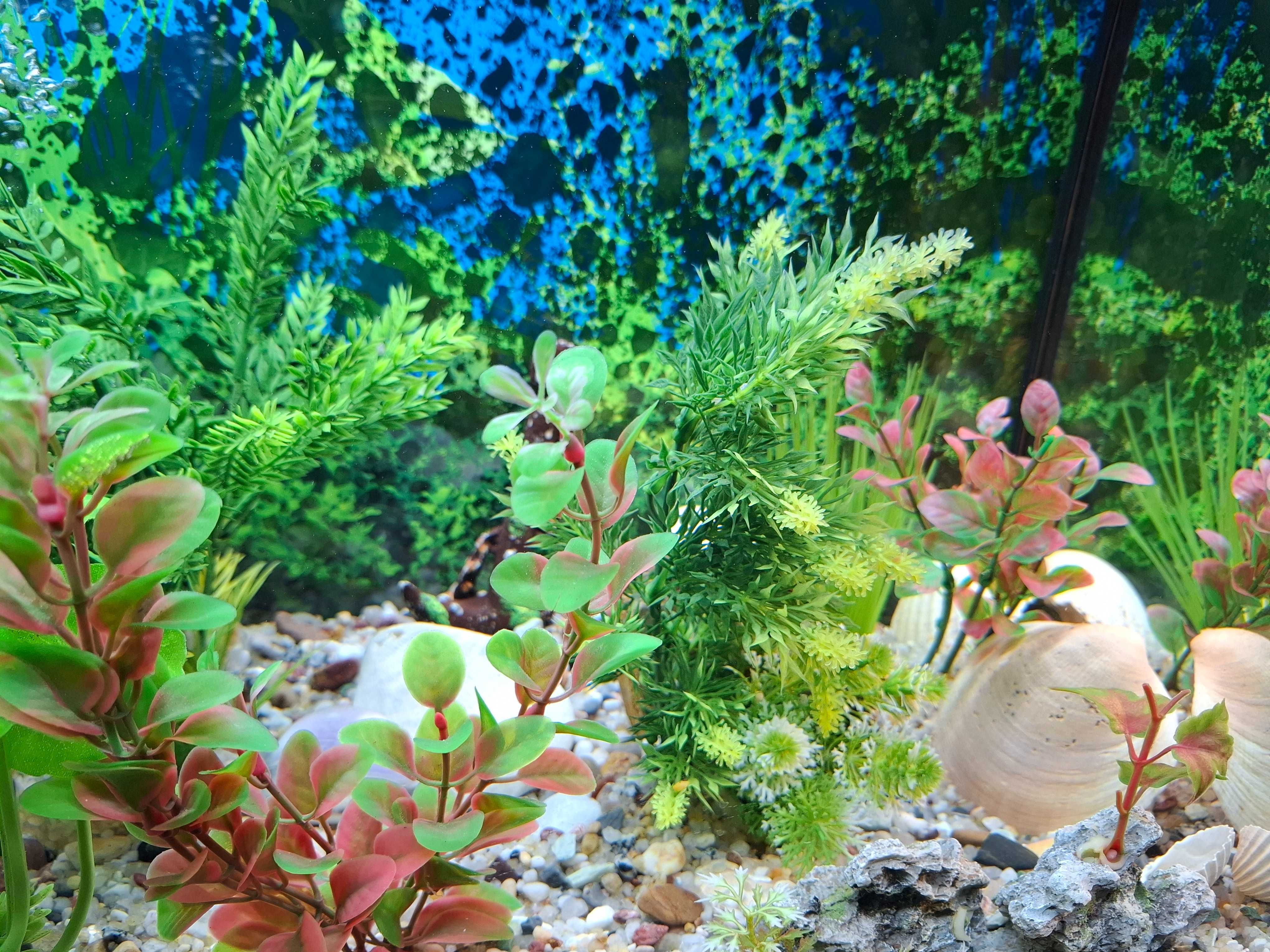Vendo aquário com luz de 50 L impecável