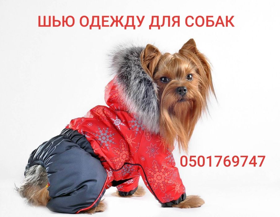 Шью одежду для собак