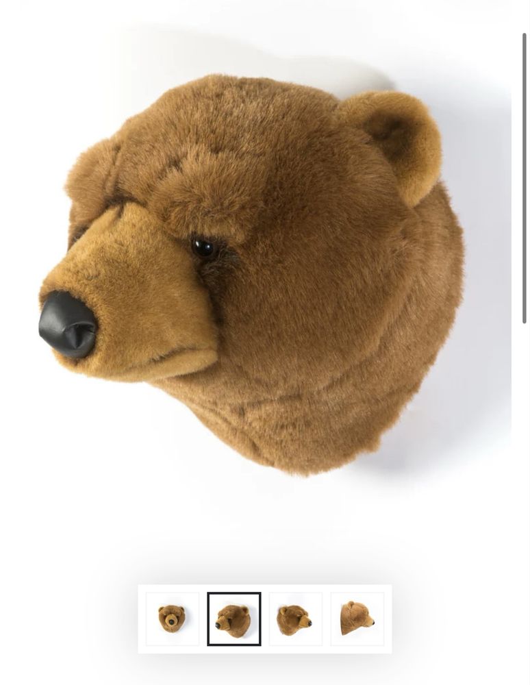 Urso peluche parede