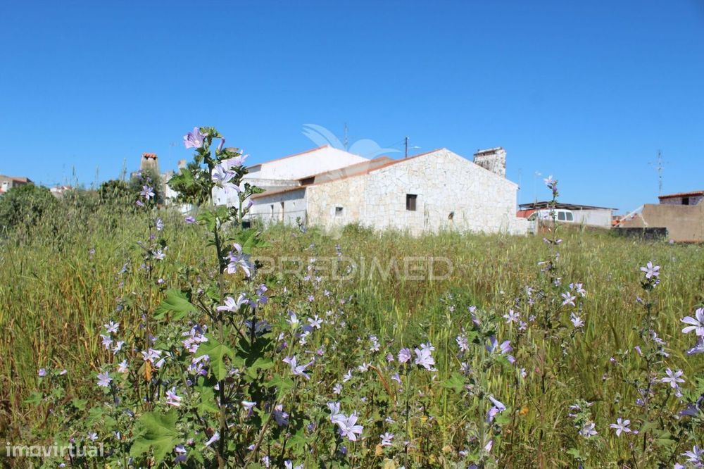 Quinta