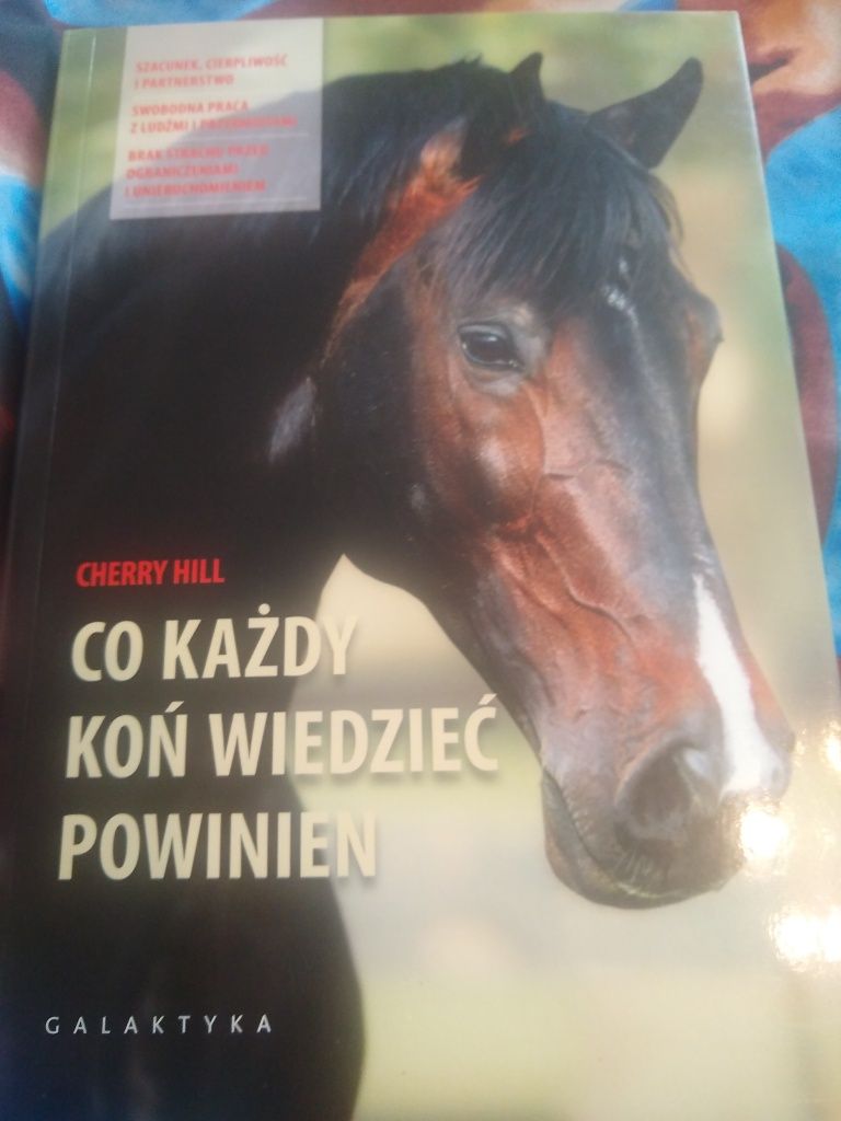 Co każdy koń wiedzieć powinien