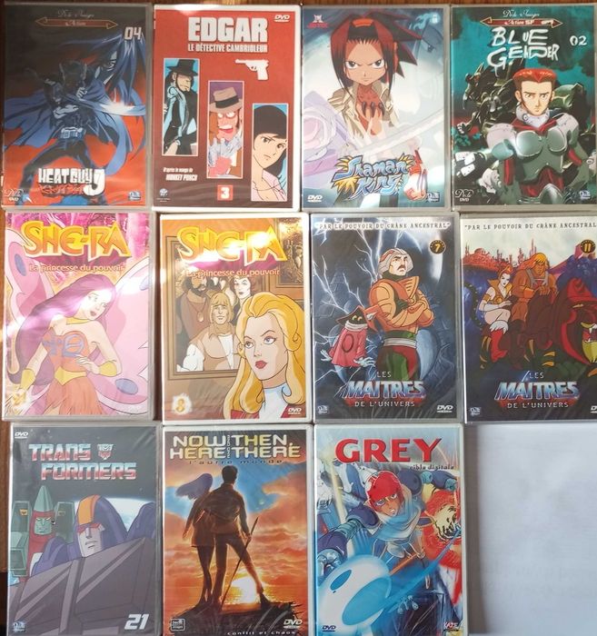 12x DVD anime manga FRANCUSKIE FOLIA, She-Ra, He-man i inne, lata 2000