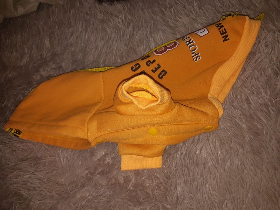 Одежда для собачки