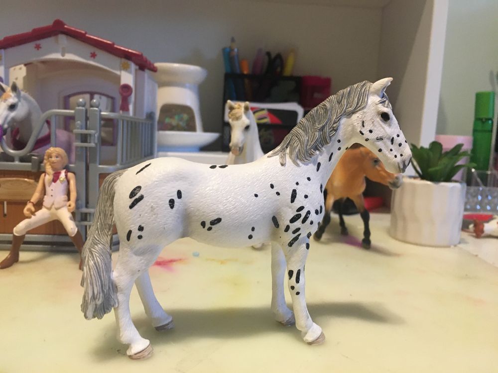 ‼️ PILNIE ‼️ Akcesoria firmy schleich