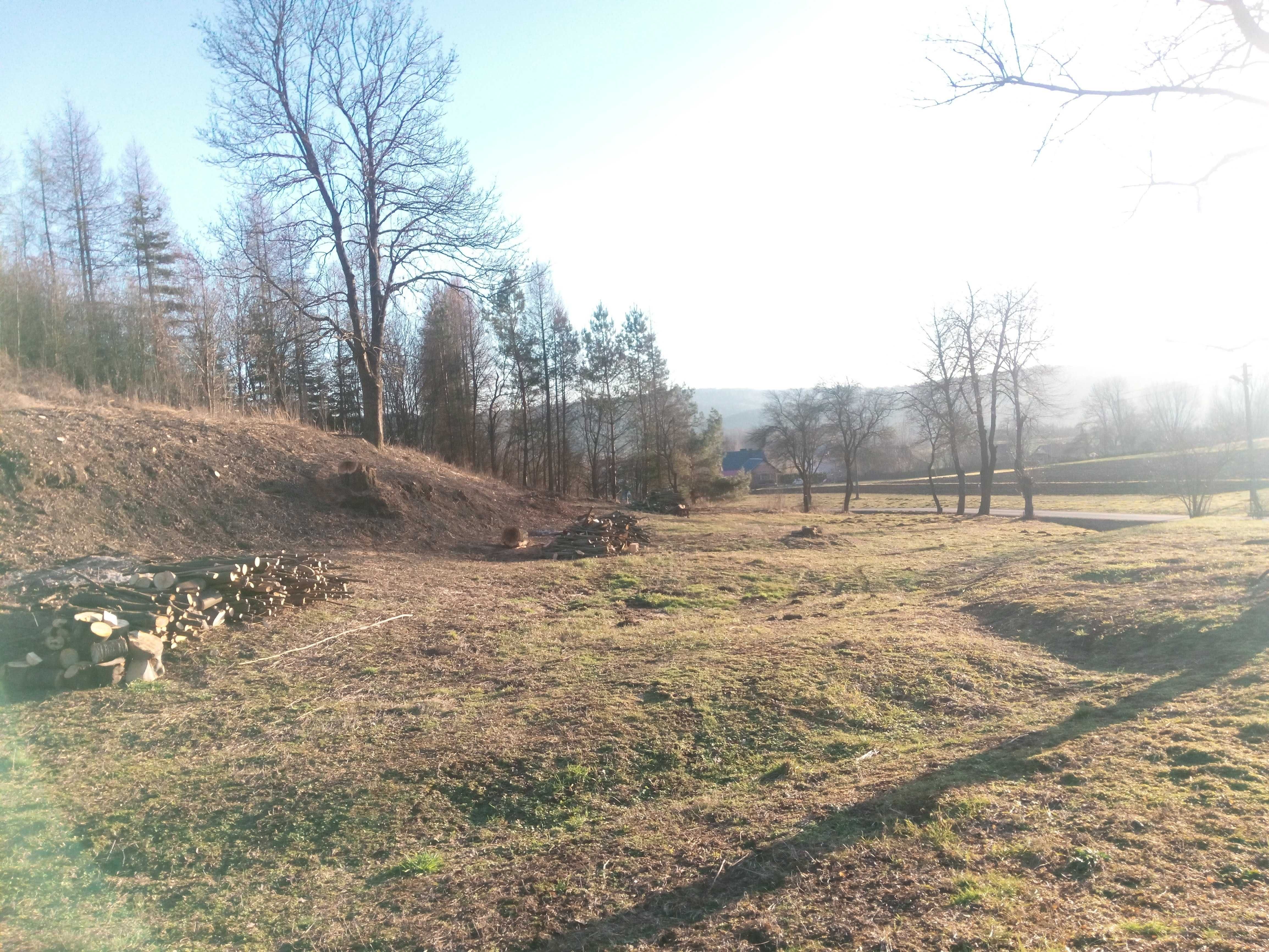 Działka 39a. Bachów, krążki