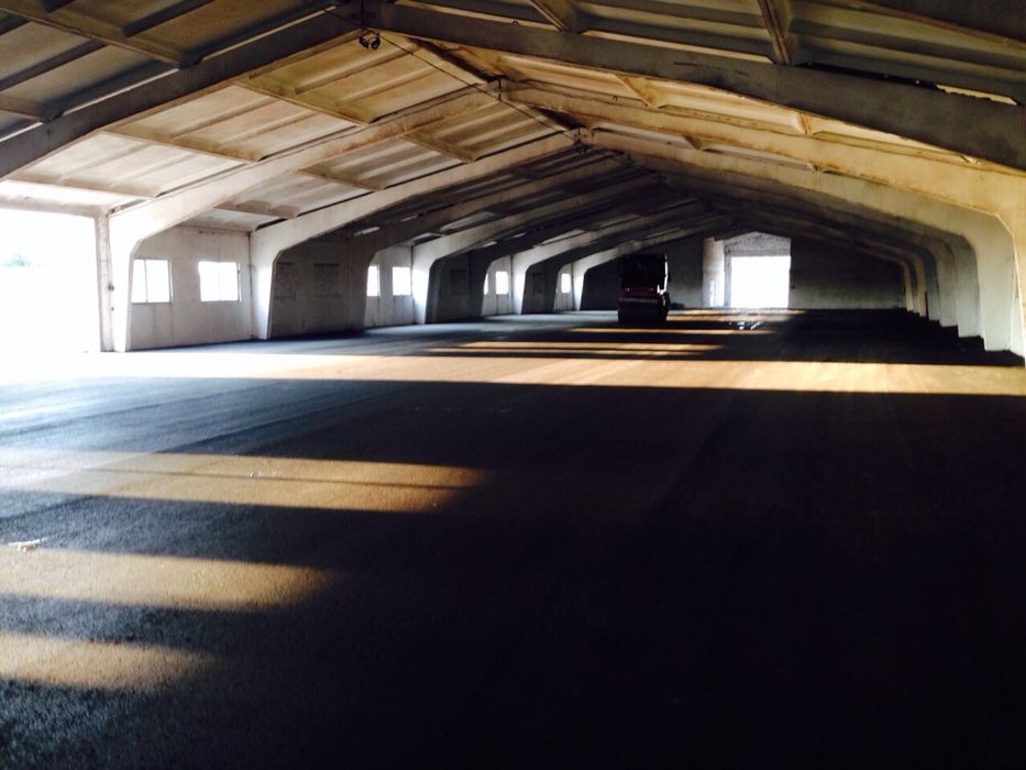 белоцеркв  асфальтирование  ямодный  ремонт строительство дорог крошка