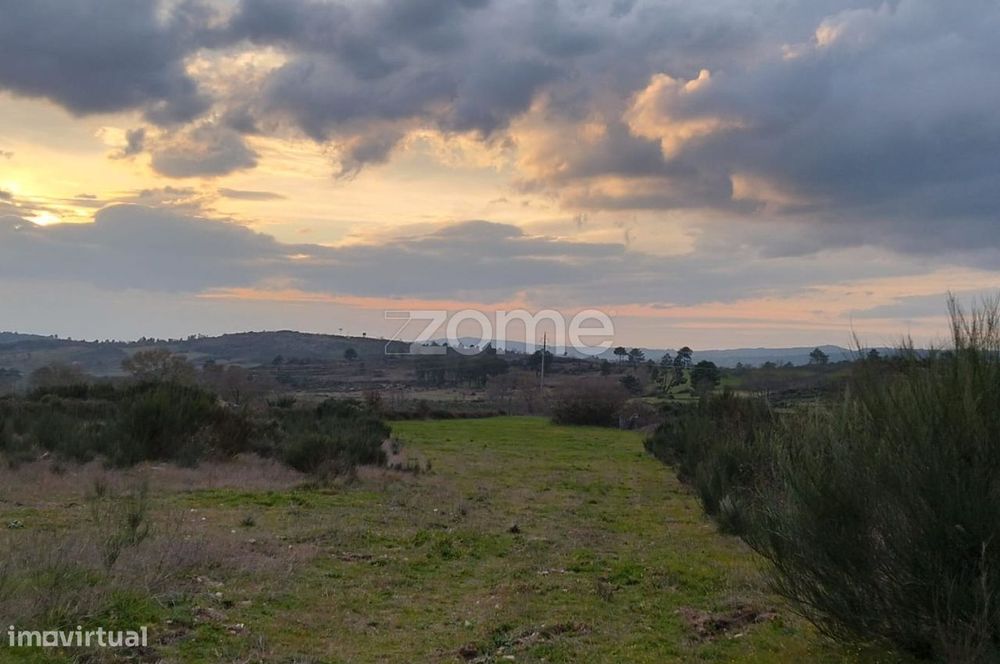 Terreno Rústico em Cortiçô da Serra
