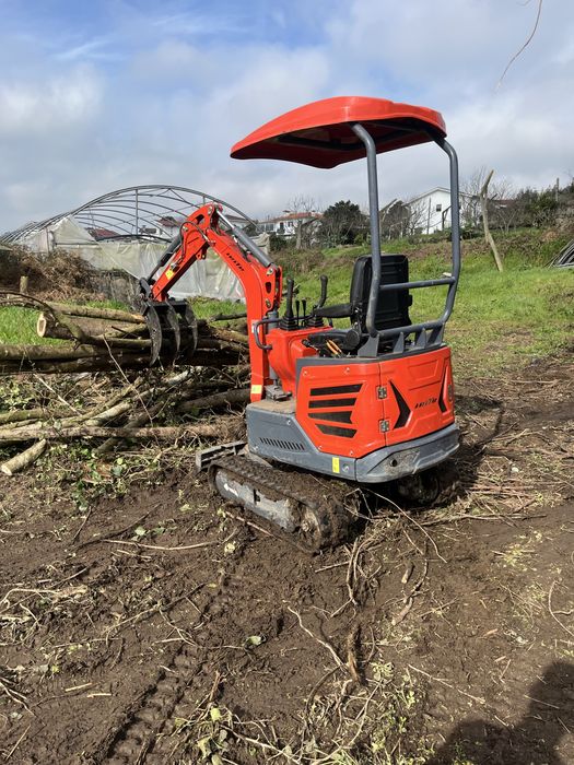 Aluguer mini-giratoria 1.2tons