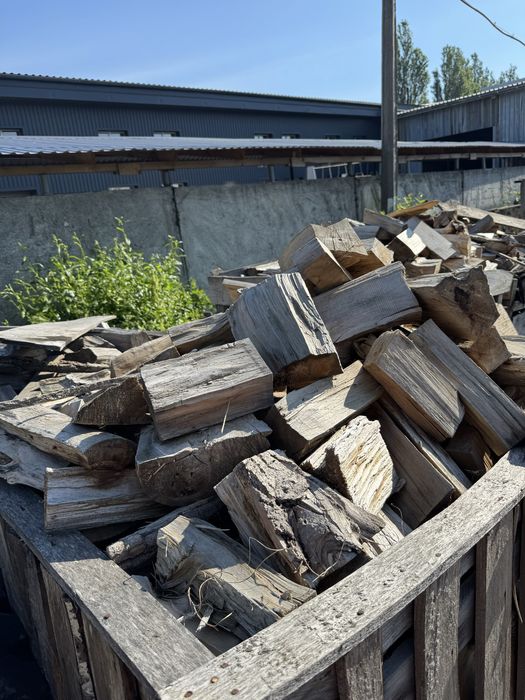 Дрова колоті (тополя)