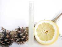 Naturalne perfumy w olejku UWODZICIEL piżmo sandał sosna cytrusy