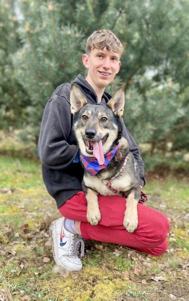 Kaktusik żył na stacji bezynowej. Dziś żyje w boksie schroniska. Adopt