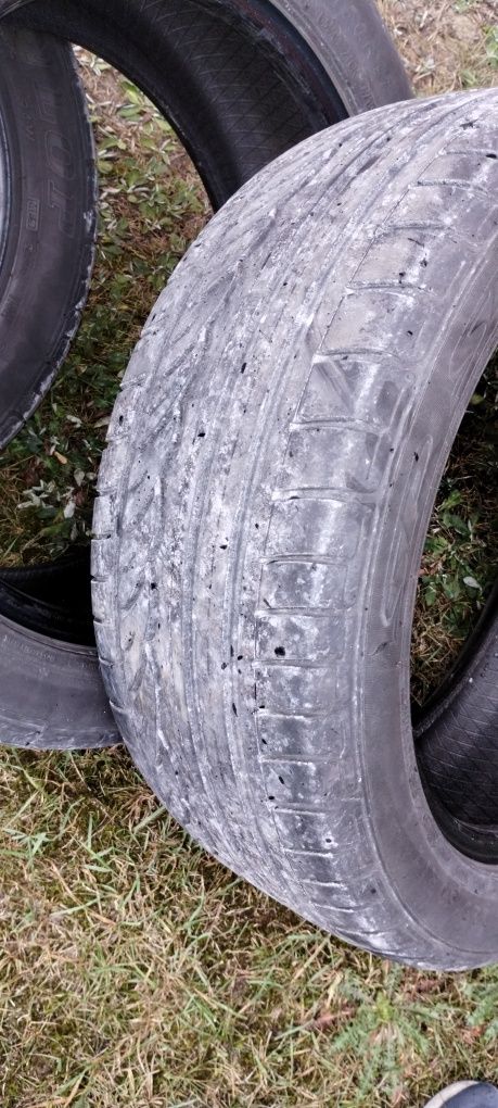 Opony letnie 225/50R17 Dunlop