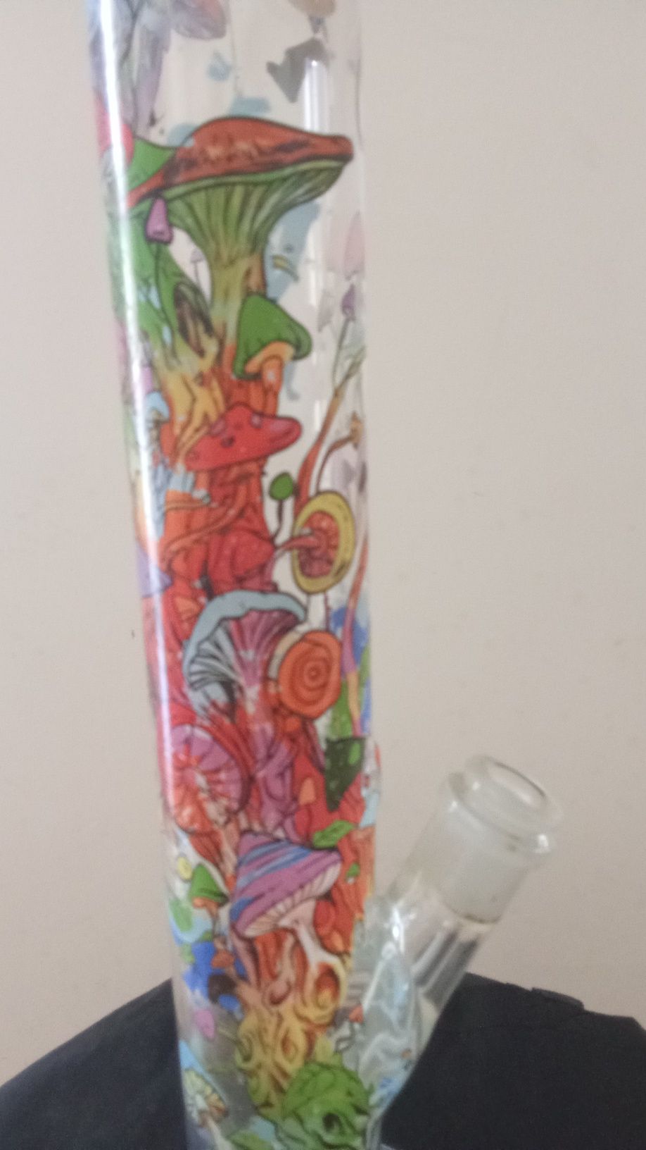 Cogumelos multicolor