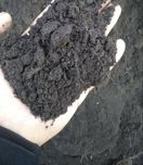 Чернозем для газону та огороду