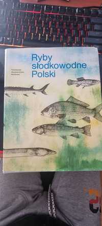 Ryby słodkowodne Polski - wyd.1986