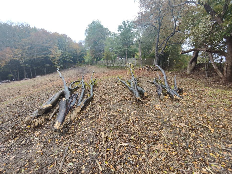 Drewno opałowe mieszane