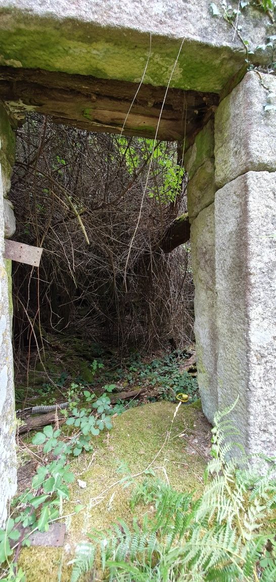 Quintinha com Casa para Reconstrução