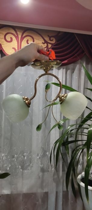 Изысканная люстра