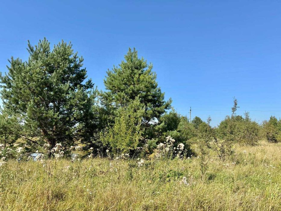 Продаж землі з власним озером під забудову! Прямий вихід в Ліс!