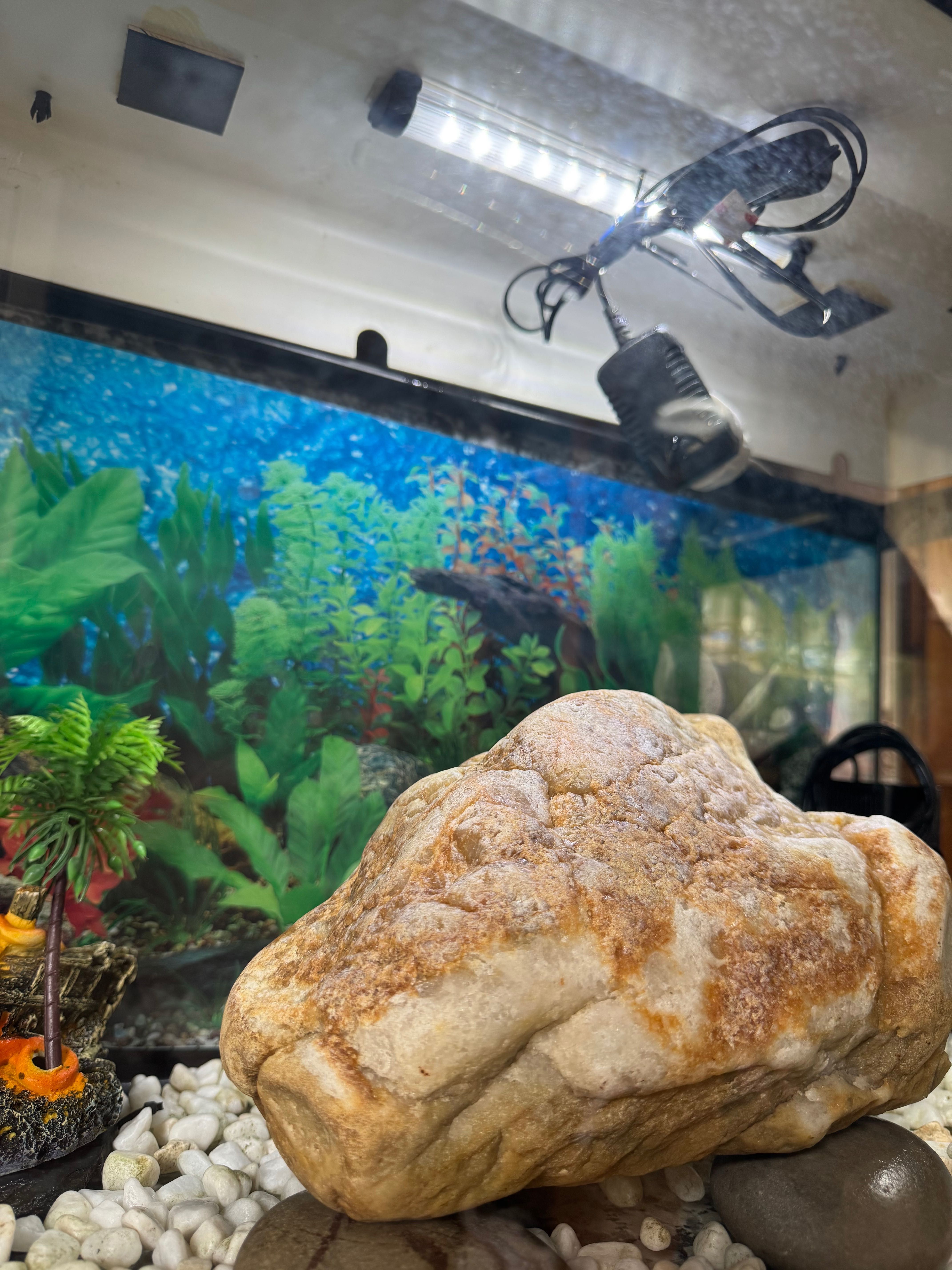 Aquário com led e equipamento