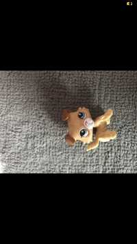 Figurka piesek littlest pet shop lps druga generacja unikat