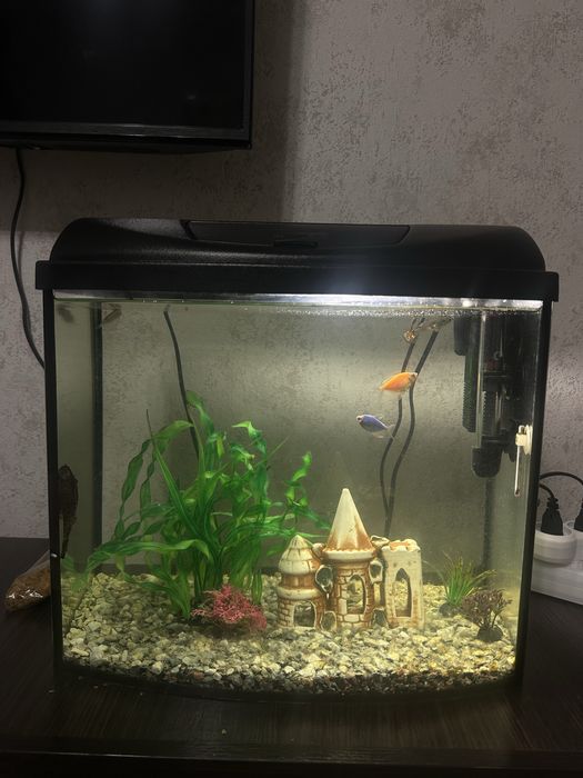 Прямокутний акваріум 35 л з кришкою,світильником