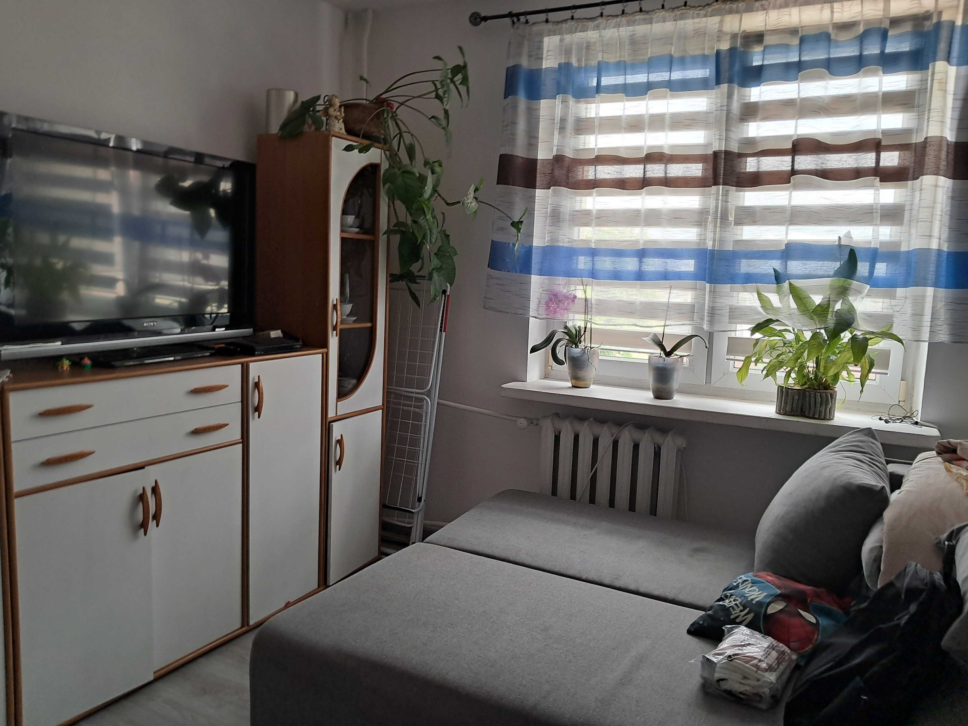 Mieszkanie 60m2 Płońsk