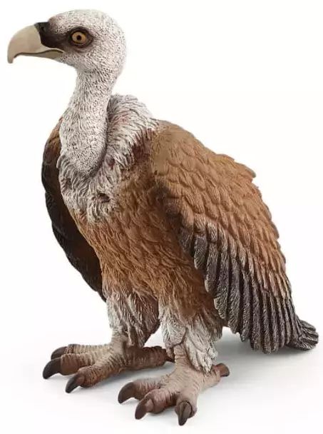 Wild Life. SLH14847. Sęp. Schleich