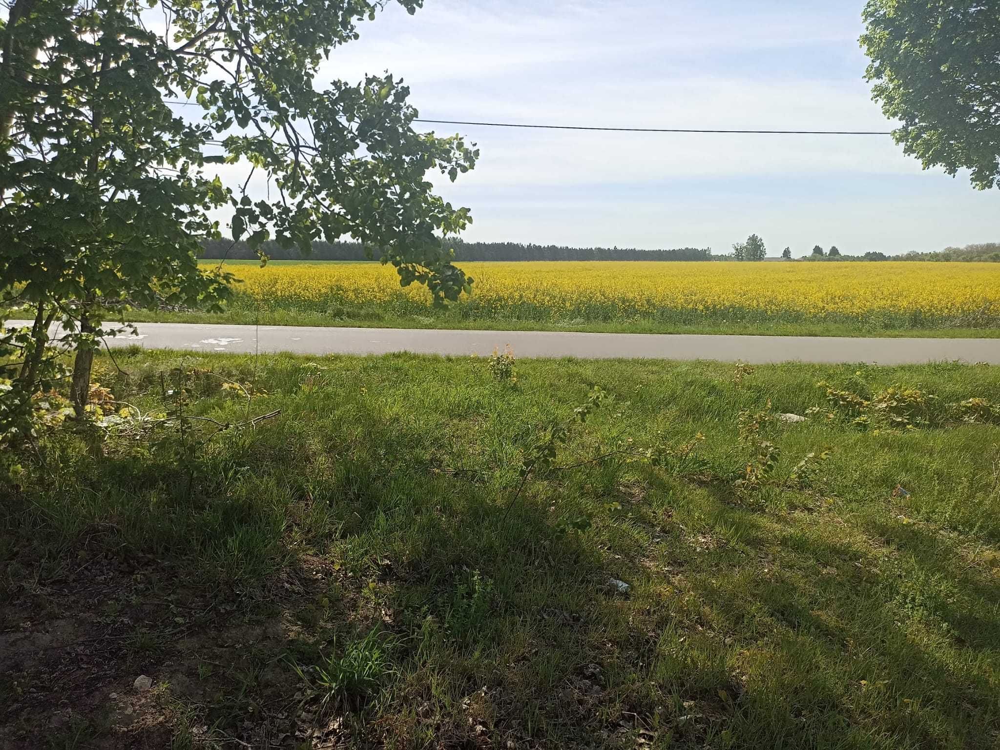Działka 7000m2 Budowlana przemysłowa SIEDLISKO Łagów gm, przyłęk rola