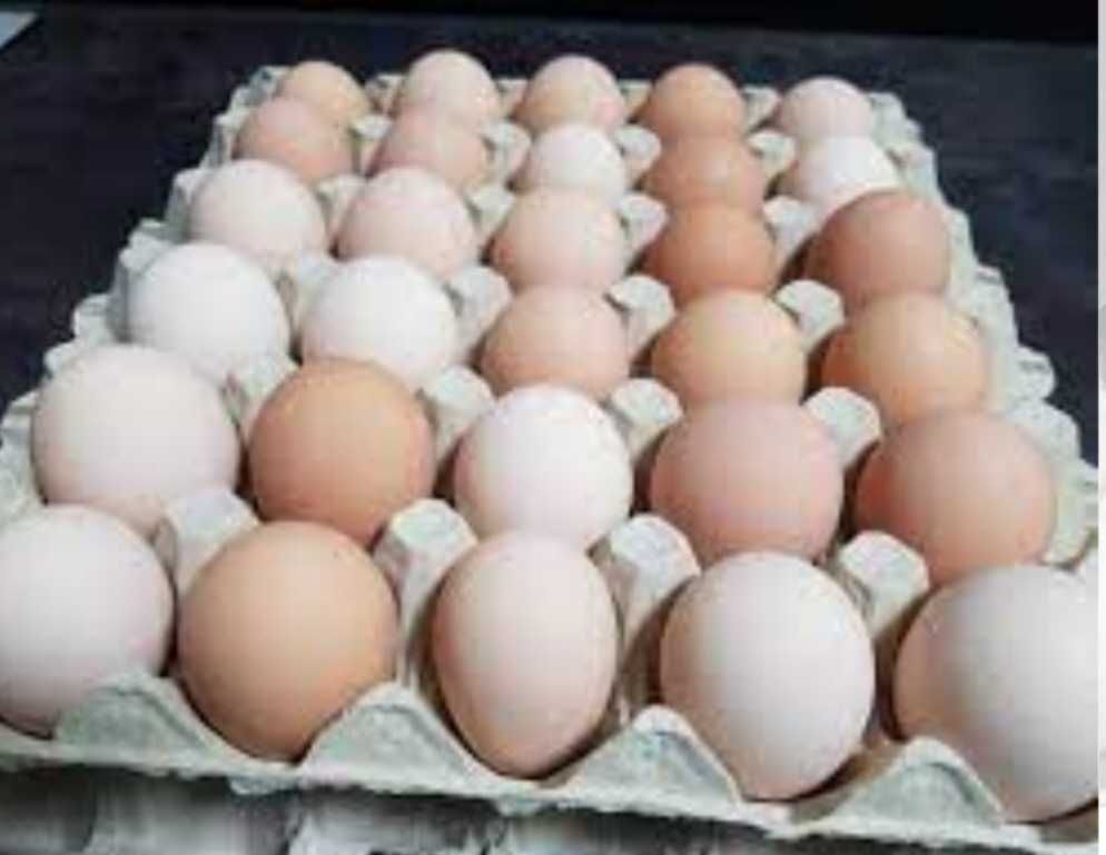 Jajka z wolnego wybiegu EKOLOGICZNE własne WYSYŁKA