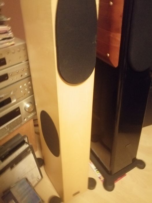 Audio Physic tempo VI
