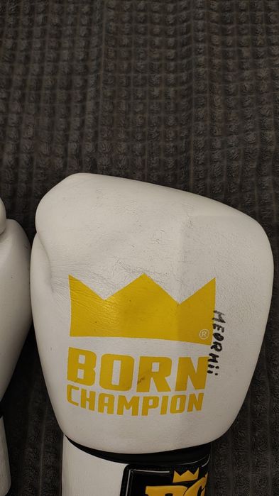 Luvas de Boxe Born Champion (BC Boxing), 14 oz, Couro Genuíno