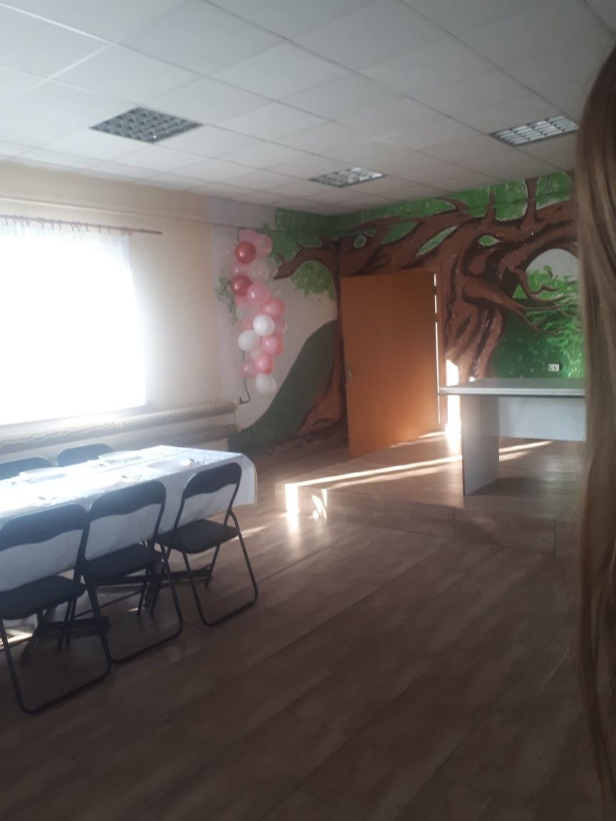 Balony i różowy tiul