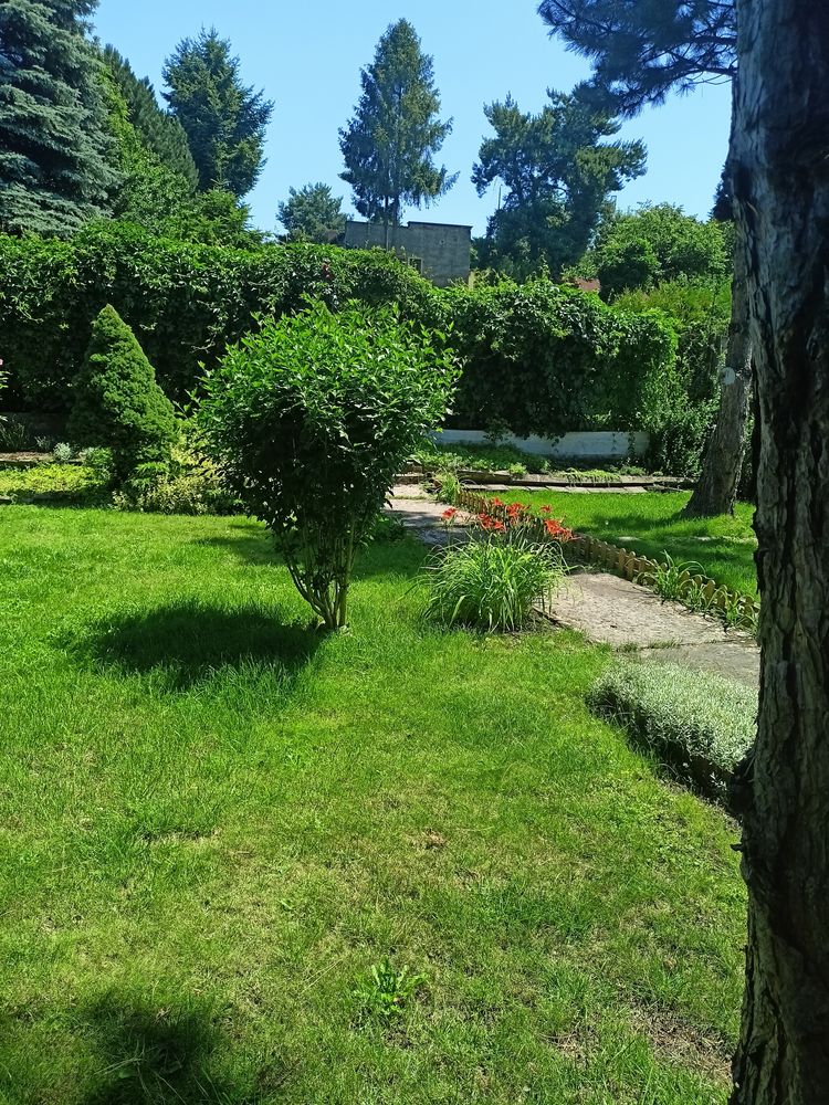 REZERWACJA - Sprzedam ogródek działkowy ROD Piast Chorzów