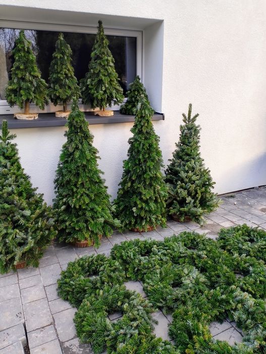 Zbieram zamówienia na wianki, choinki , girlandy.