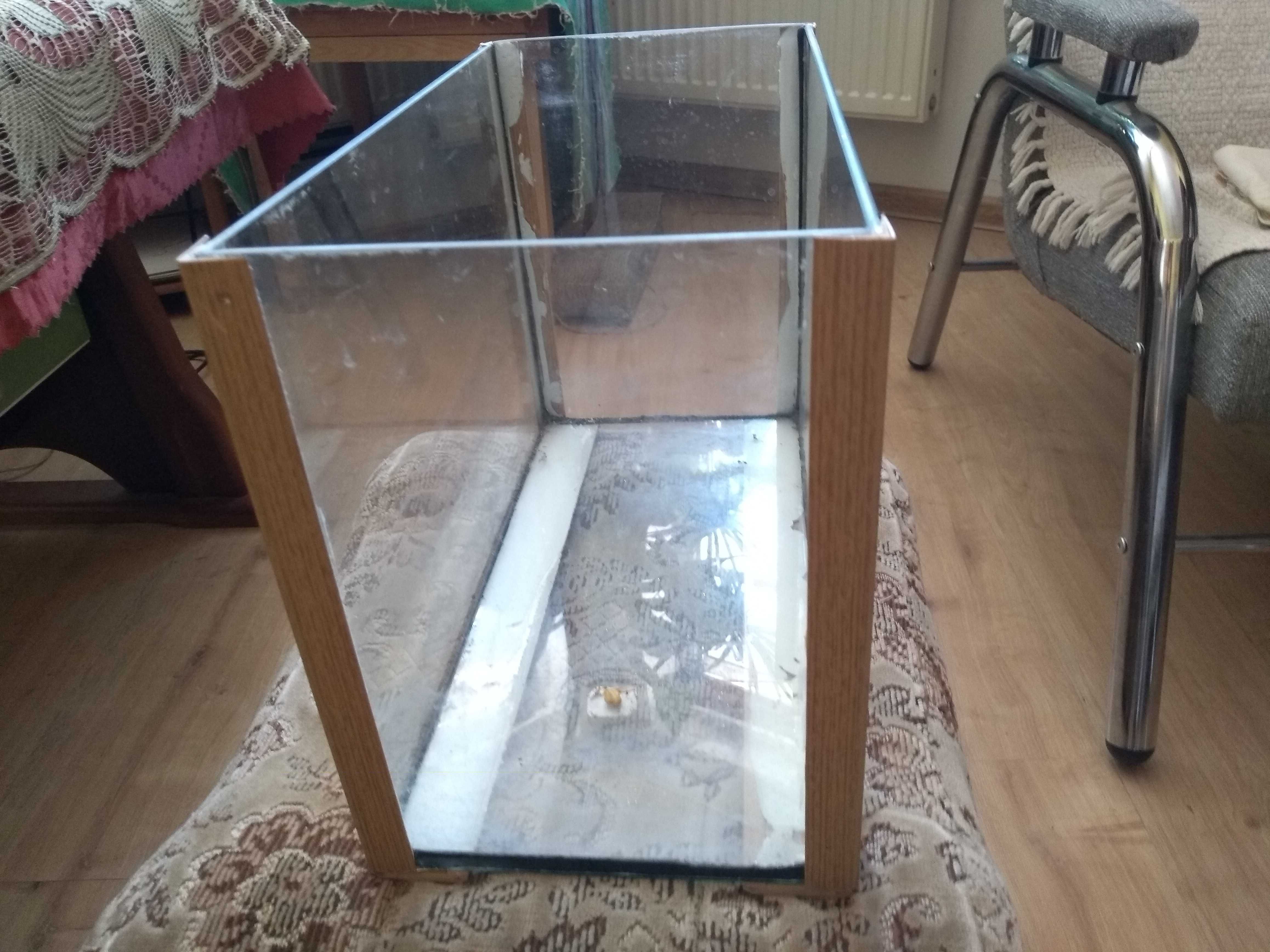 terrarium na sprzedaż