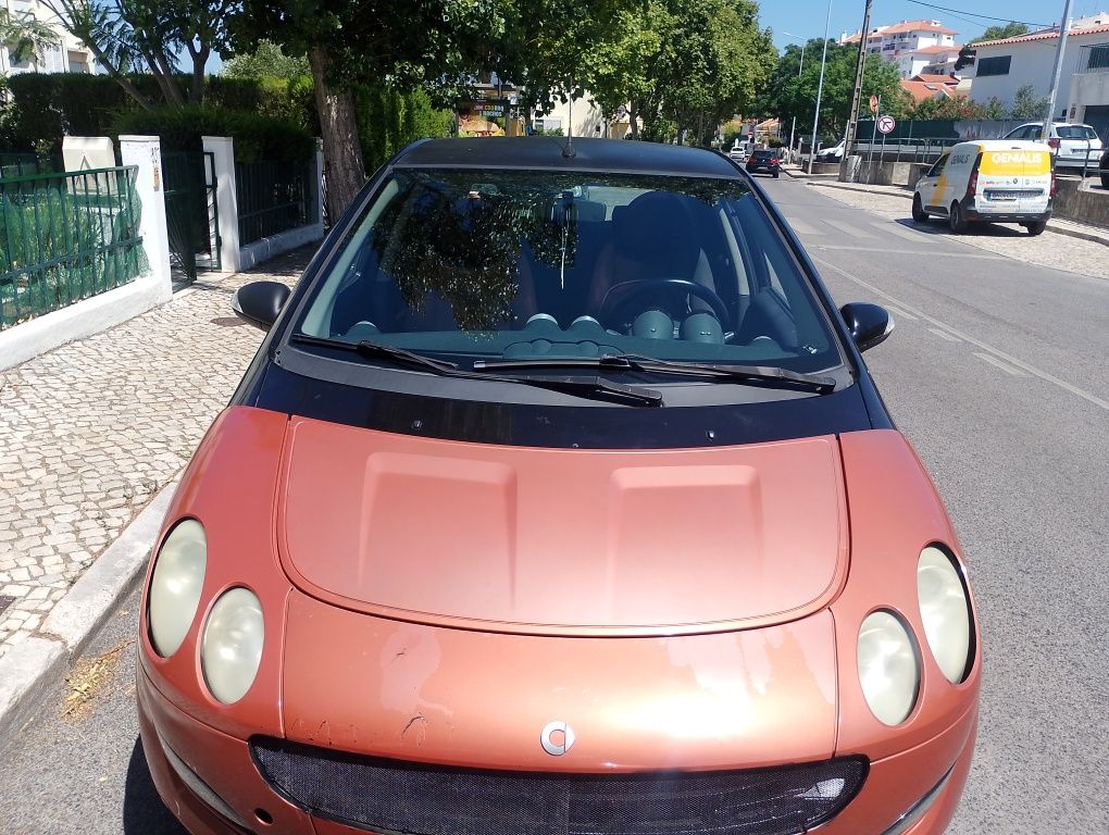 Smart  em cascais