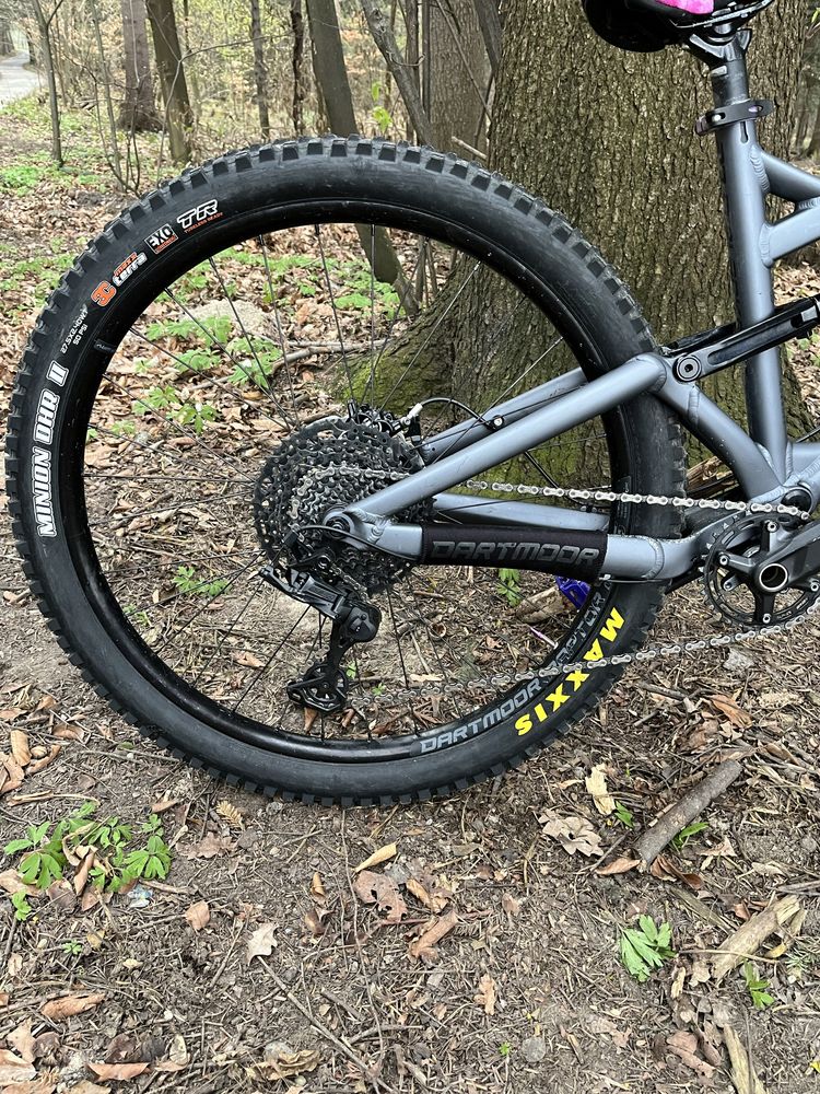 Dartmoor blackbird intro 27.5 2022
