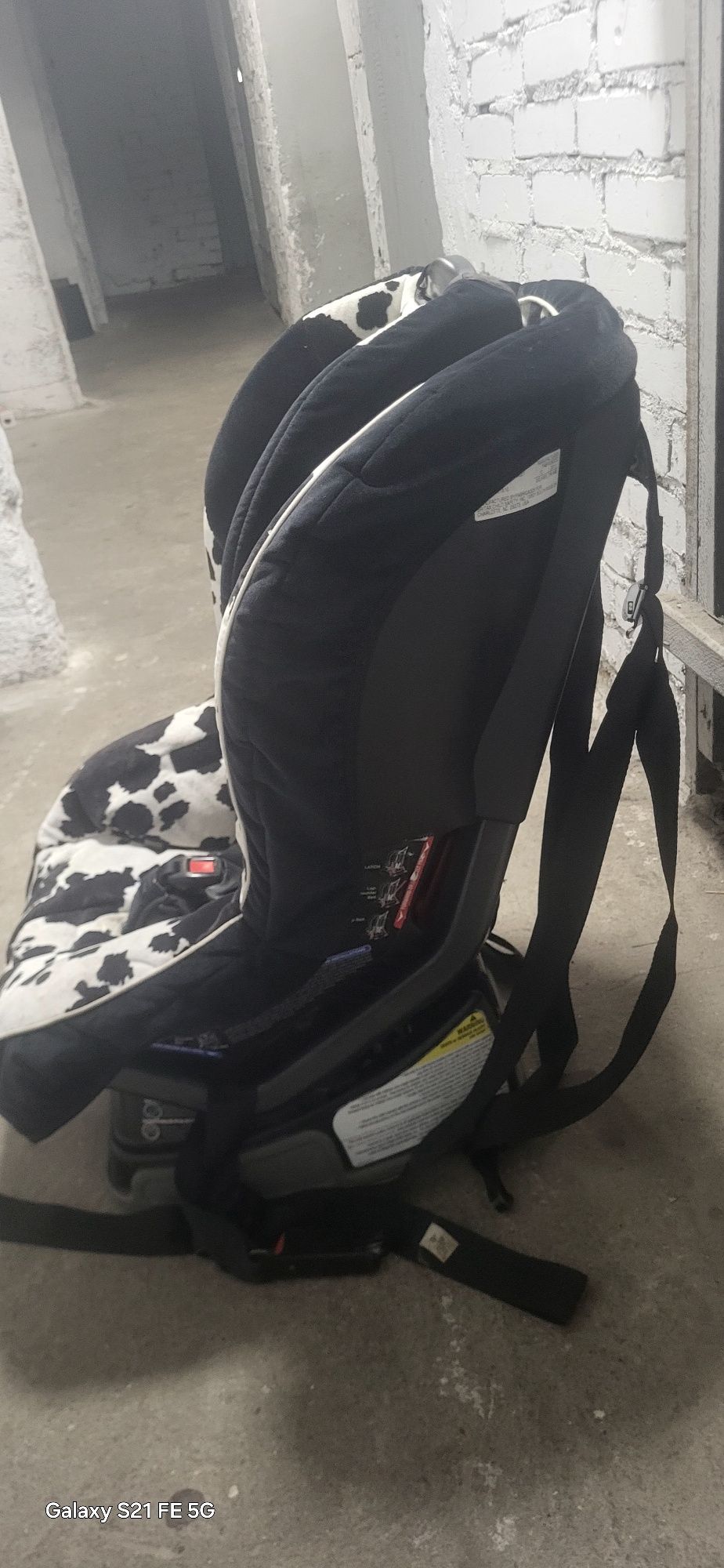 Fotelik samochodowy Britax & Romer Safefix Plus Tt Krowa 9-18Kg