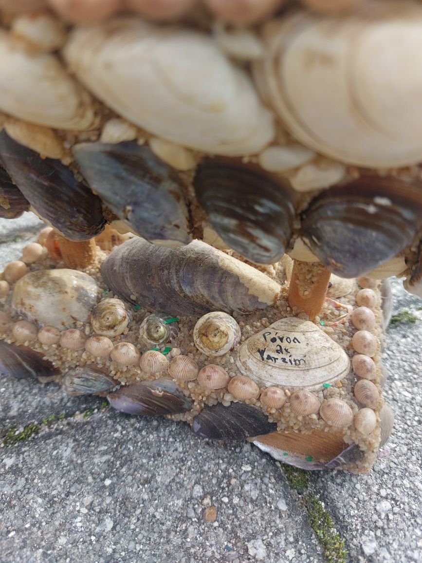 Barco antigo com búzios e conchas