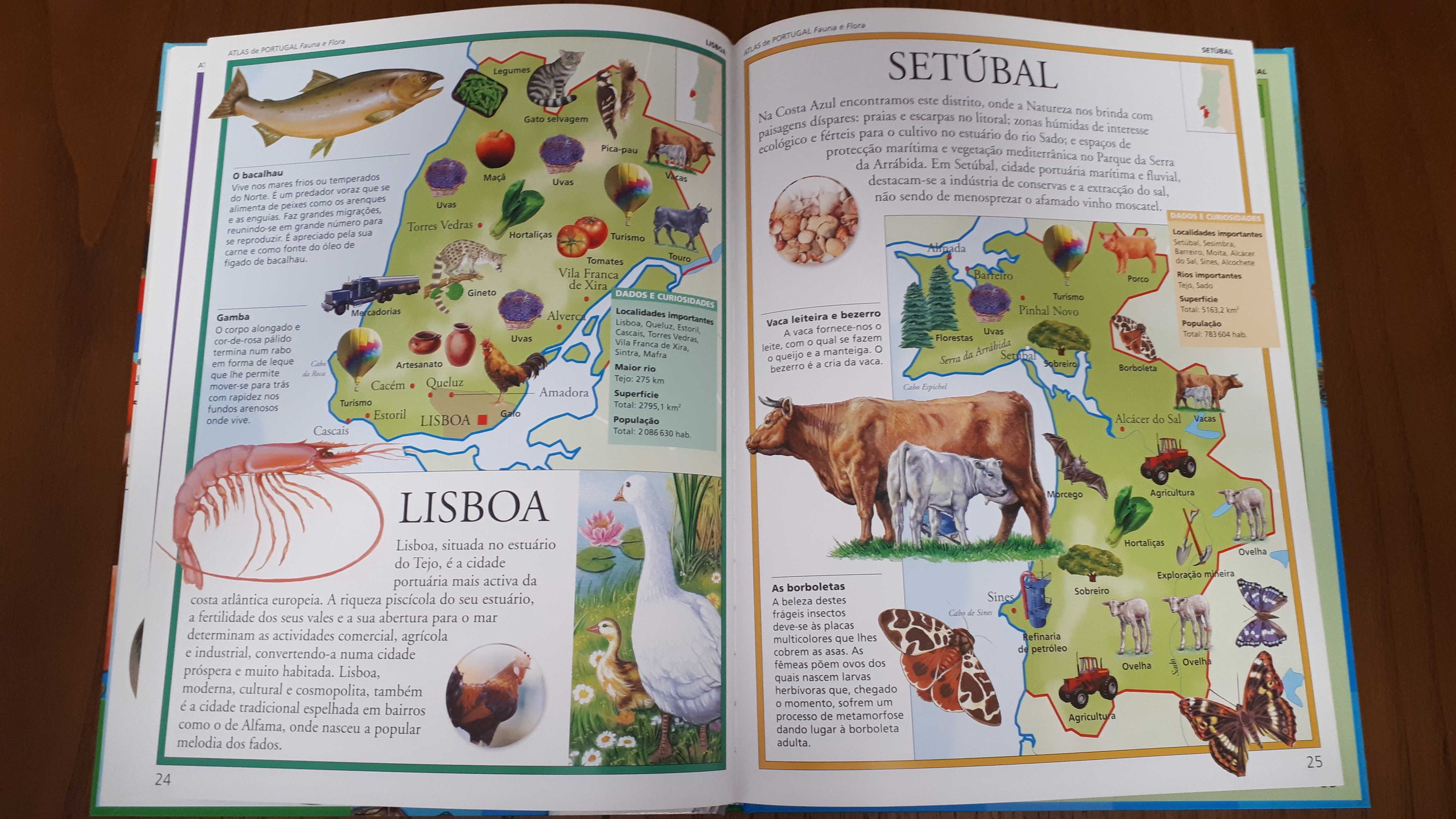 BAIXA DE PREÇO 8€ Atlas de Portugal - Fauna e Flora