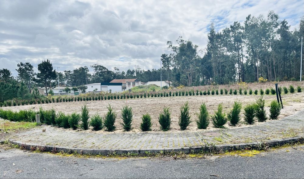 Terreno Urbano com cerca viva!600mts