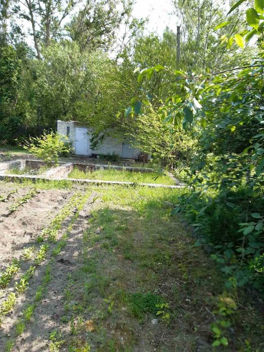 Ділянка 9 соток у садовому товаристві "Якір", приватизована RD