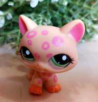 Littlest Pet Shop ORANGE & PINK SPOTTED CHEETAH #1869 Kot 

Unikat