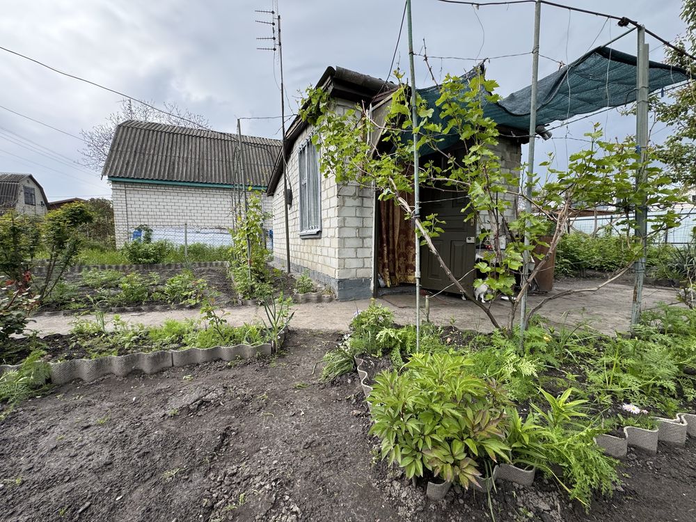 Продам дачний будиночок в садовому товаристві с. Благодатне
