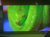 Telewizor TCL QLED 55 cali 4K UHD, Google TV, Super stan